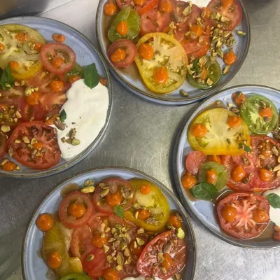 Quatre assiettes de tomates anciennes et burrata, basilic et pistaches